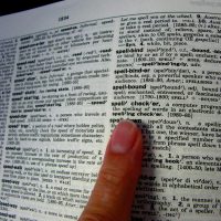 Mejora tu vocabulario junto al Guatón Solitario