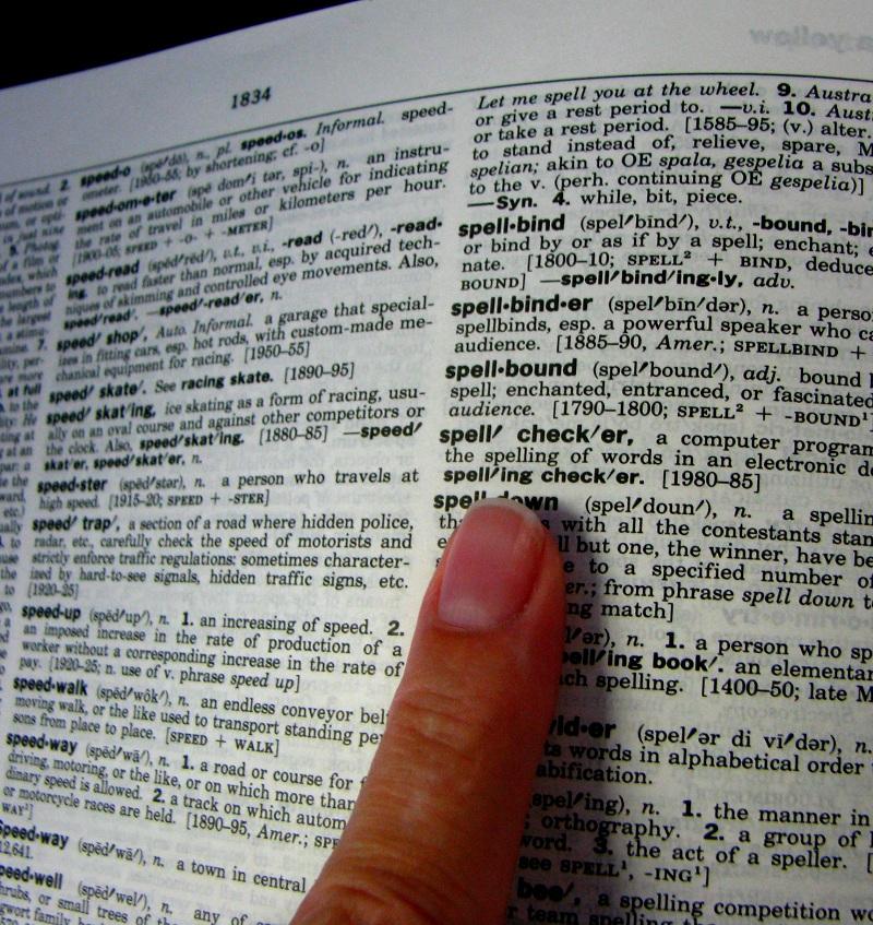 Mejora tu vocabulario junto al Guatón Solitario