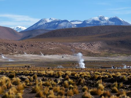 Porfiados dañaron el Desierto Florido con autos y picnic