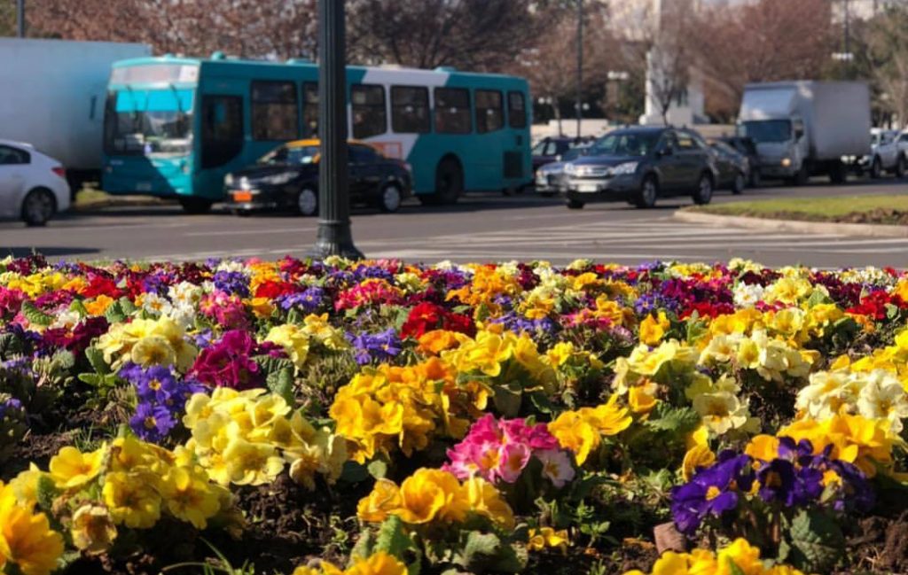 Chao, invierno: Te contamos cuándo comienza la primavera en Chile