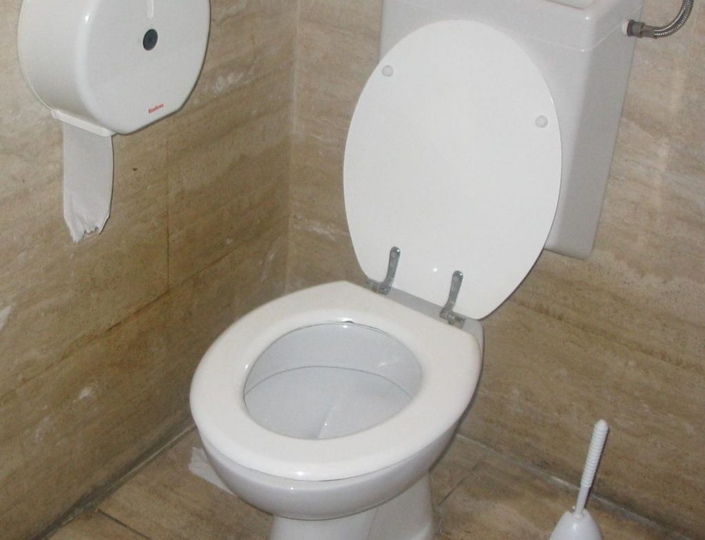 ¿Cómo te las ingenias si no hay papel en el baño?