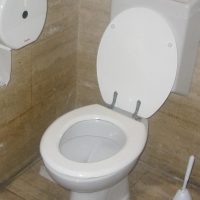 ¿Cómo te las ingenias si no hay papel en el baño?