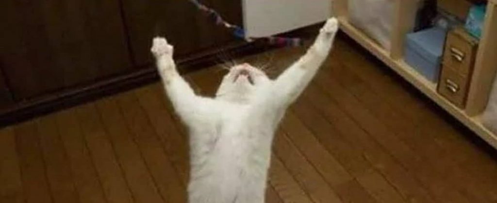 Este es un viernes con “V” de…