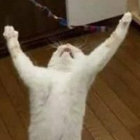 Este es un viernes con "V" de...