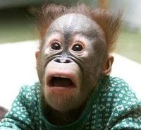 Hay cosas que jamás pensamos que pasarían