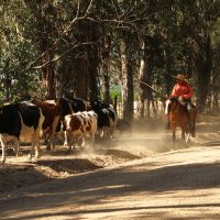 Este pariente si que la vió complicada oiga