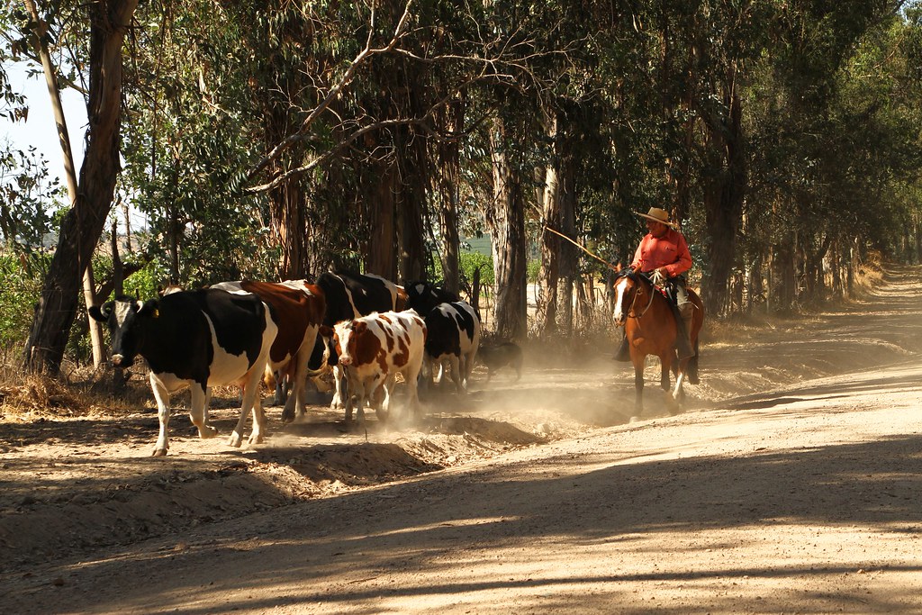 Este pariente si que la vió complicada oiga