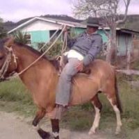 ¡Este es el último jueves de Parientes junto al Pelao Rodrigo!