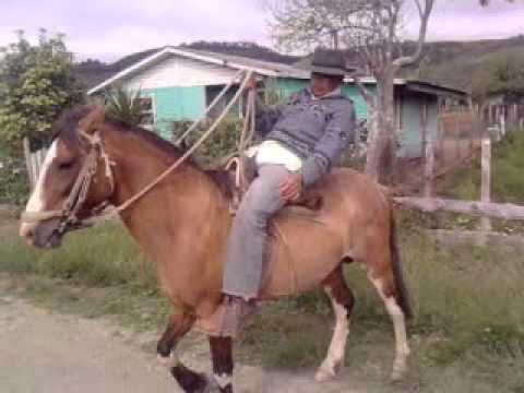 ¡Este es el último jueves de Parientes junto al Pelao Rodrigo!