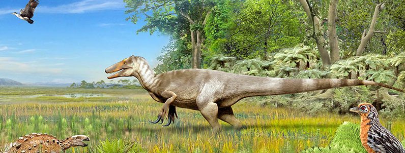 Dinosaurio Megaraptor: El verdadero rey de la Patagonia chilena