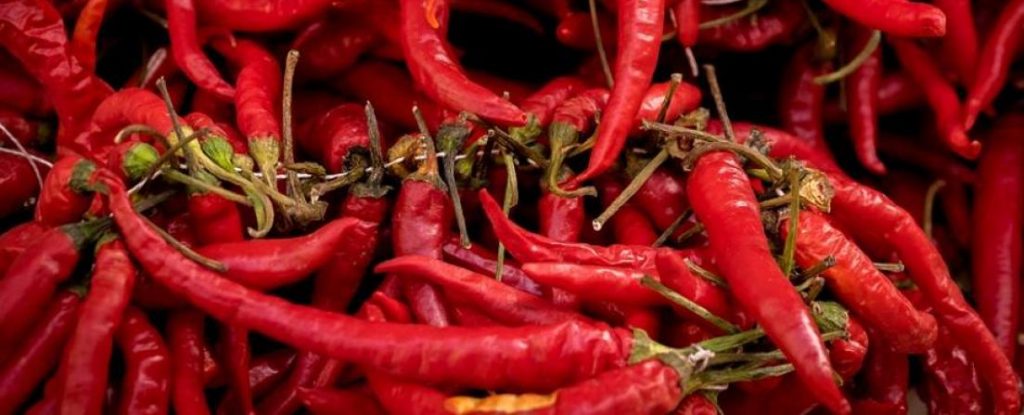 ¿Quién es tu amigo más picante?