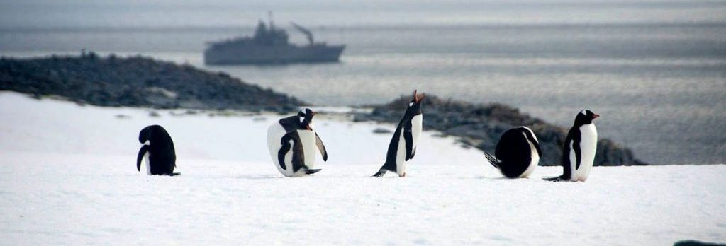¿Te tinca viajar al fin del mundo? Entérate del concurso con el que te podrías ganar una ida a la Antártica