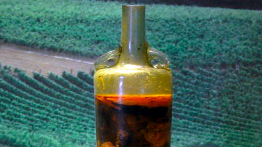 ¡Vivimos engañados! Las botellas de vidrio acumulan 50 veces más microplasticos