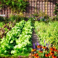 ¡Martes organic! Esto es Sacando la "Huerta" junto al Ferrari de Carolina