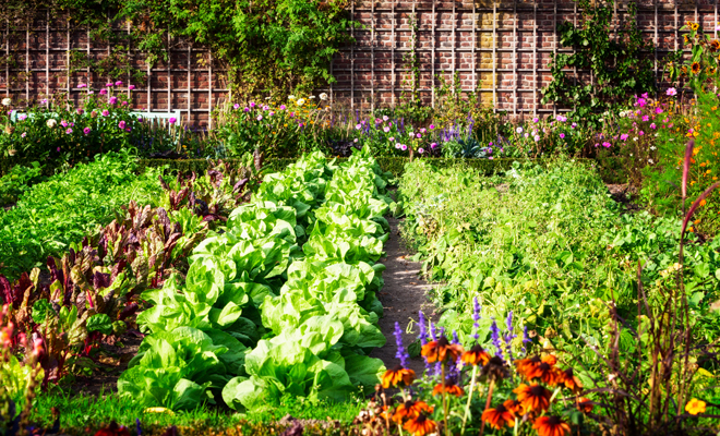 ¡Martes organic! Esto es Sacando la “Huerta” junto al Ferrari de Carolina