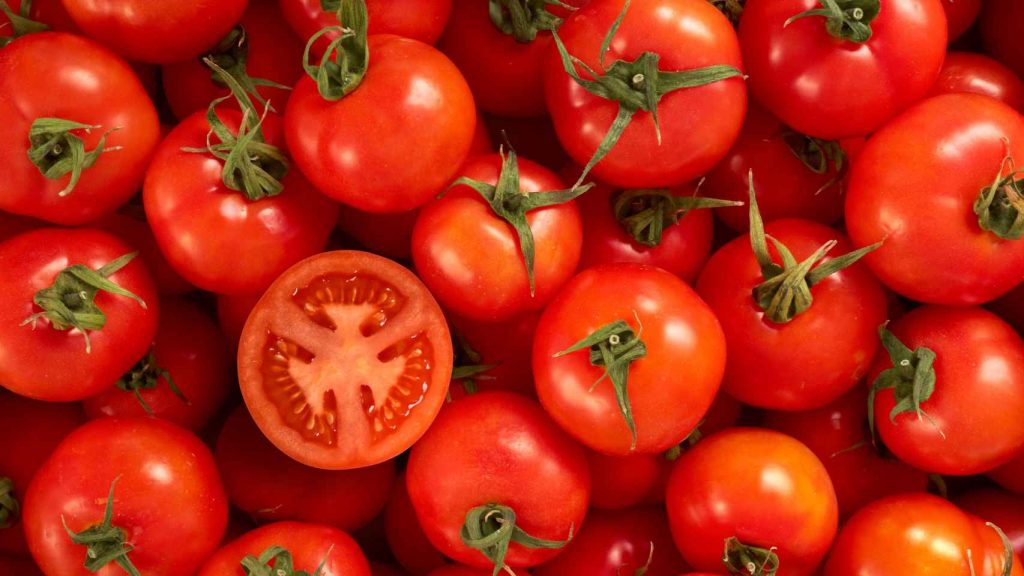 Este perrín es experto en tomates