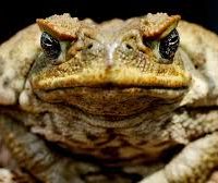 ¡Con respeto! Escucha los whatsapos del día de hoy