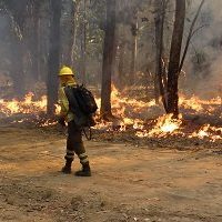 Hombre pidió matrimonio con anillo de alambre que armó con los escombros de incendio en Lirquén