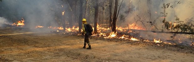 Hombre pidió matrimonio con anillo de alambre que armó con los escombros de incendio en Lirquén