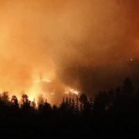 Damnificado avisó por televisión que no podía ir a trabajar