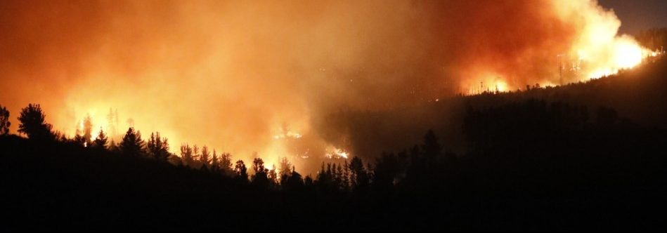 Damnificado avisó por televisión que no podía ir a trabajar