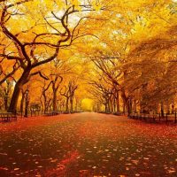 ¡Llegó el otoño! Escucha este especial de canciones otoñales