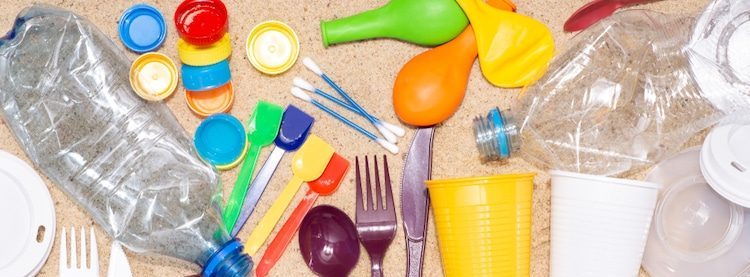 Por un Chile más sustentable: Científicos crean artículos de un solo uso con celulosa moldeada