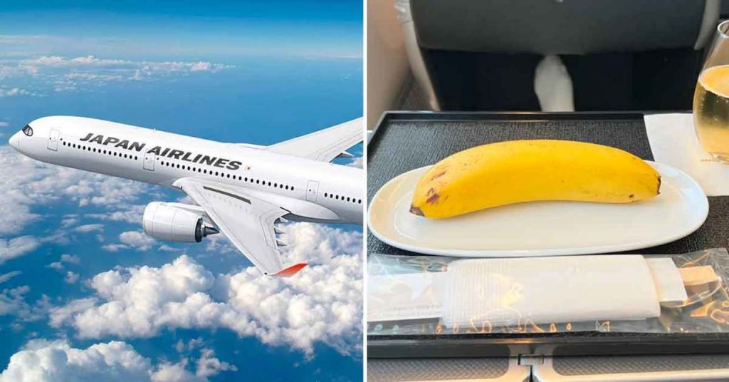 ¡Qué es esto! Pidió comida vegana en el avión y le dieron un plátano