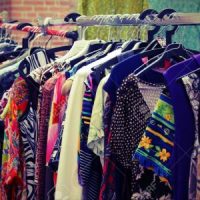 ¡Puro estilo! Los perrines cuentan cuales son sus prendas regalonas