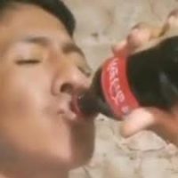 ¡Put' que rico! Este perrín envió su saludo pé