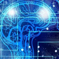 ¡Sin miedo! El Par de Guatones le preguntó de todo al ChatGPT