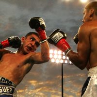 Gimnasio le puso saco de boxeo a perrito