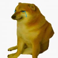 A propósito de Cheems: ¿Cuál es tu meme favorito?