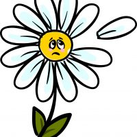 Ella es Margarita, una flor que sufre por un amor
