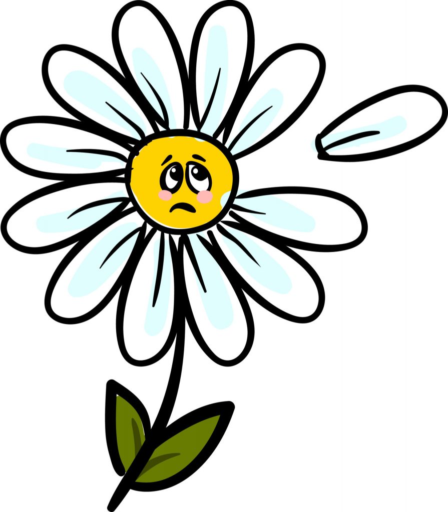 Ella es Margarita, una flor que sufre por un amor