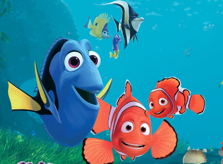 ¡Un experto en peces! Esto es “Pregúntale a un won con título”
