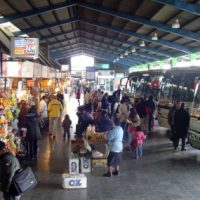 ¡Recuerdos en bus! ¿Te acuerdas de estos viajes?