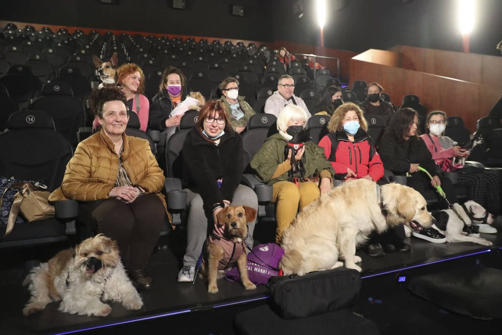 ¡Hermoso! Habilitan sala de cine para ir con mascotas