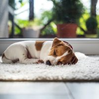 ¡Sin excusas! Los más buenos pa' la pestaña