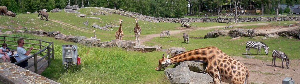 Australia Revoluciona los Zoológicos con su Hologram Zoo: Fauna Virtual en 3D