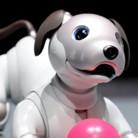 Cachupines robot en hospitales... Reutilizarán perritos Aibo en instituciones médicas
