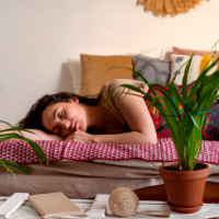 ¡Tus nuevas roomies! Los beneficios de dormir con plantas en la habitación