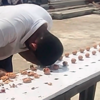 Me saliste bien cabeza dura... ¡Batió el Record Guinness de aplastar nueces con la frente!