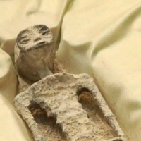 ¿Entonces E.T. era real? Ufólogo mostró dos cuerpos de supuestos extraterrestres