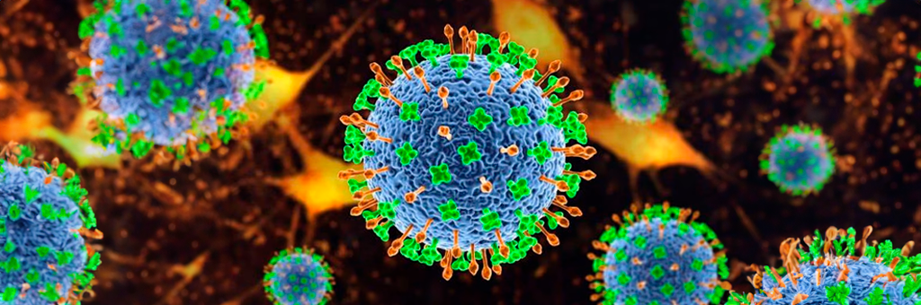 ¡Clausuren Talca! “Nipah” es la potencial pandemia que preocupa a la OMS