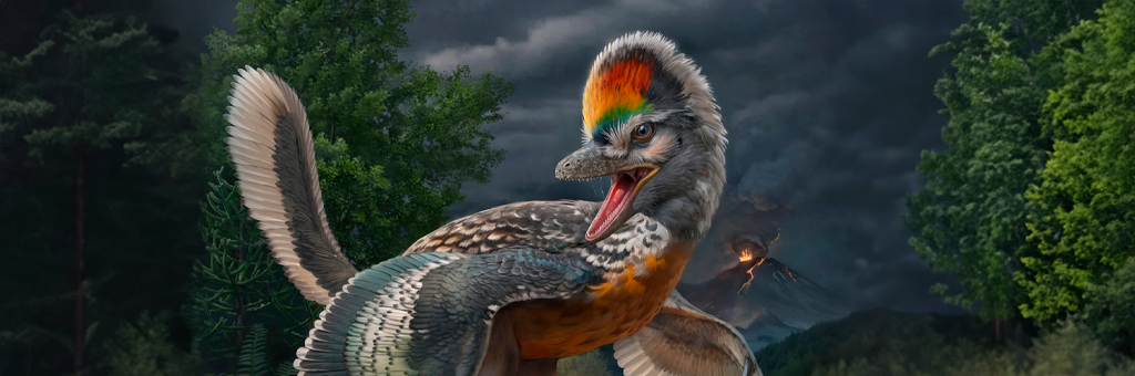 ¿El real origen de las gallinas? Descubren un raro fósil de dinosaurio en China