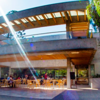 Vandalizaron café a minutos de su reinauguración