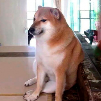 Emotivo funeral de Cheems, el querido perro meme