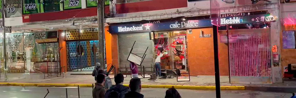 ¡Escándalo en Valdivia! Café Palace atacado por desaparición de perros comunitarios