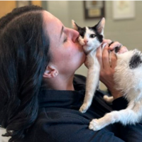 Científicos quieren extender la vida de los gatos a 30 años